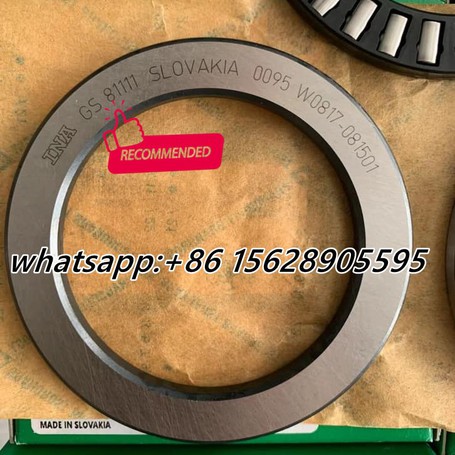 GS 81111 INA GS 81111 INA